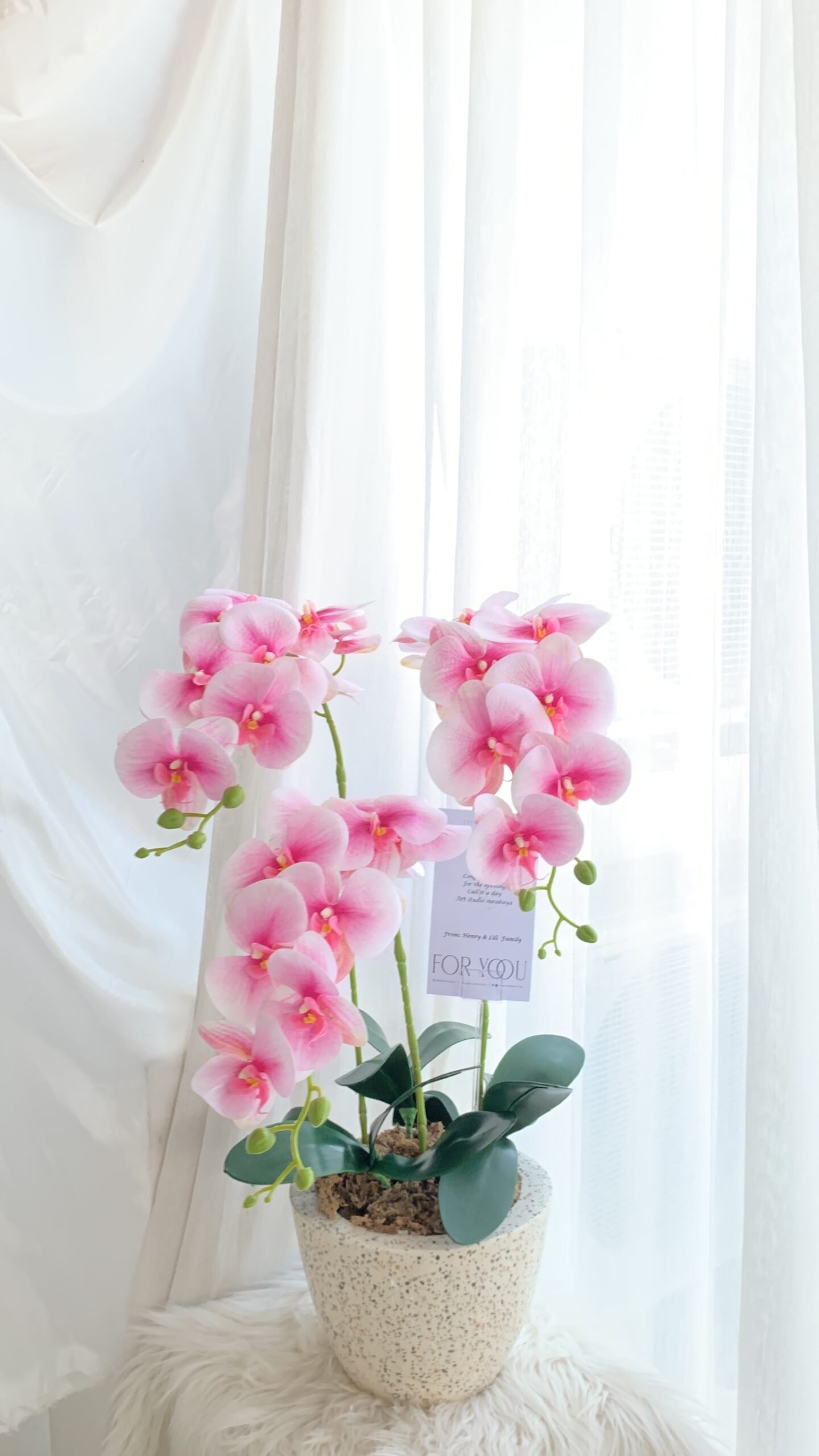 Orchid Pot - Image 2