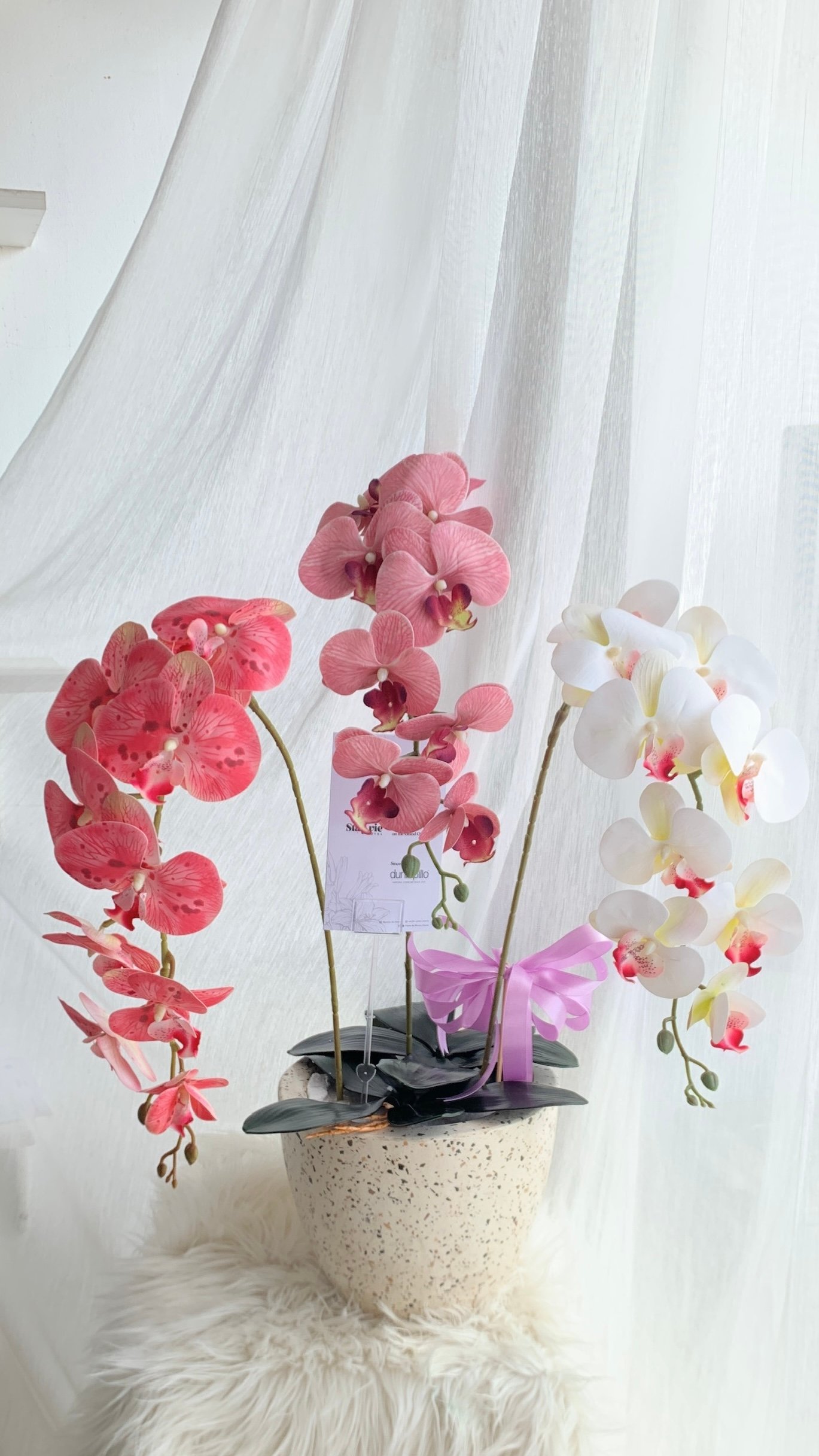 Orchid Pot - Image 3