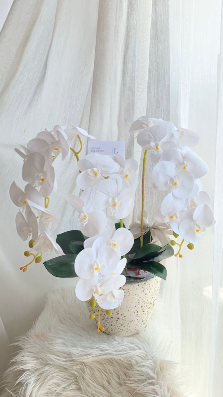 Orchid Pot - Image 4