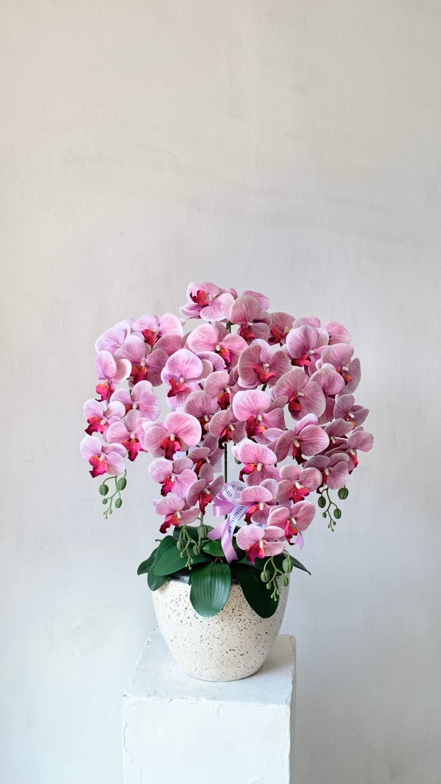 Orchid Pot - Image 5