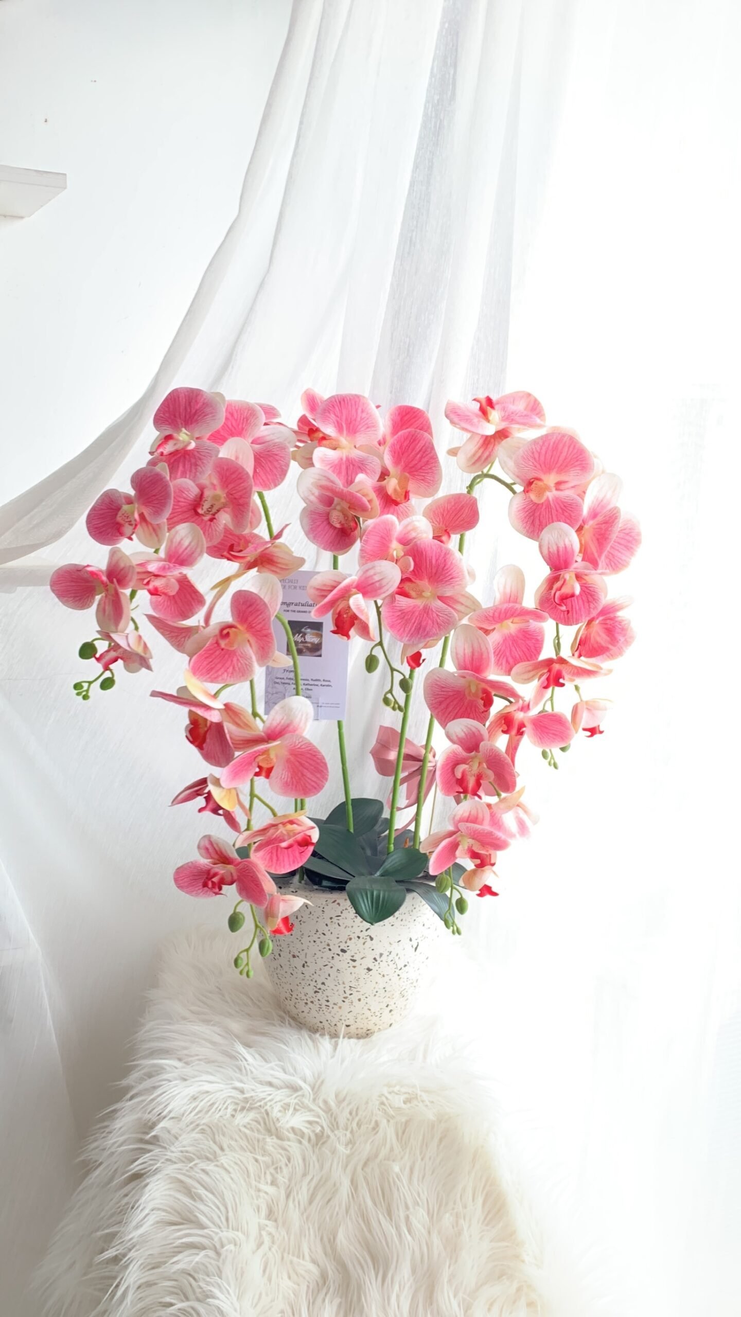 Orchid Pot - Image 6