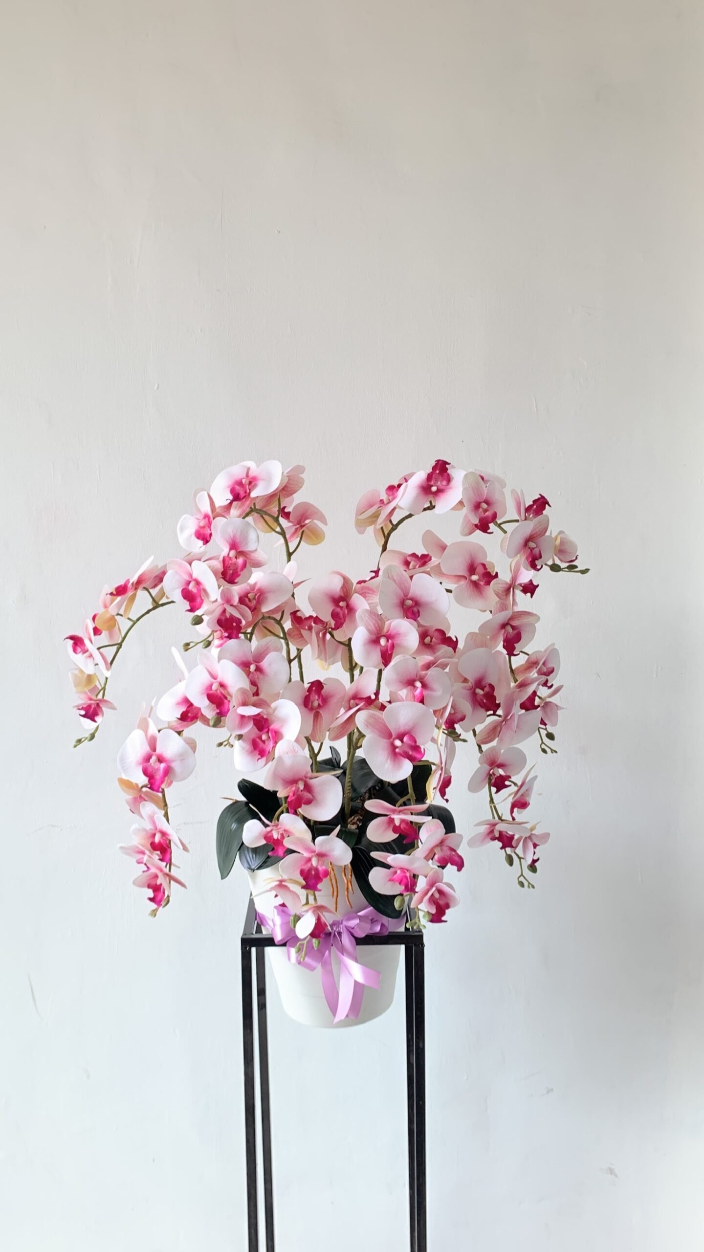 Orchid Pot - Image 8