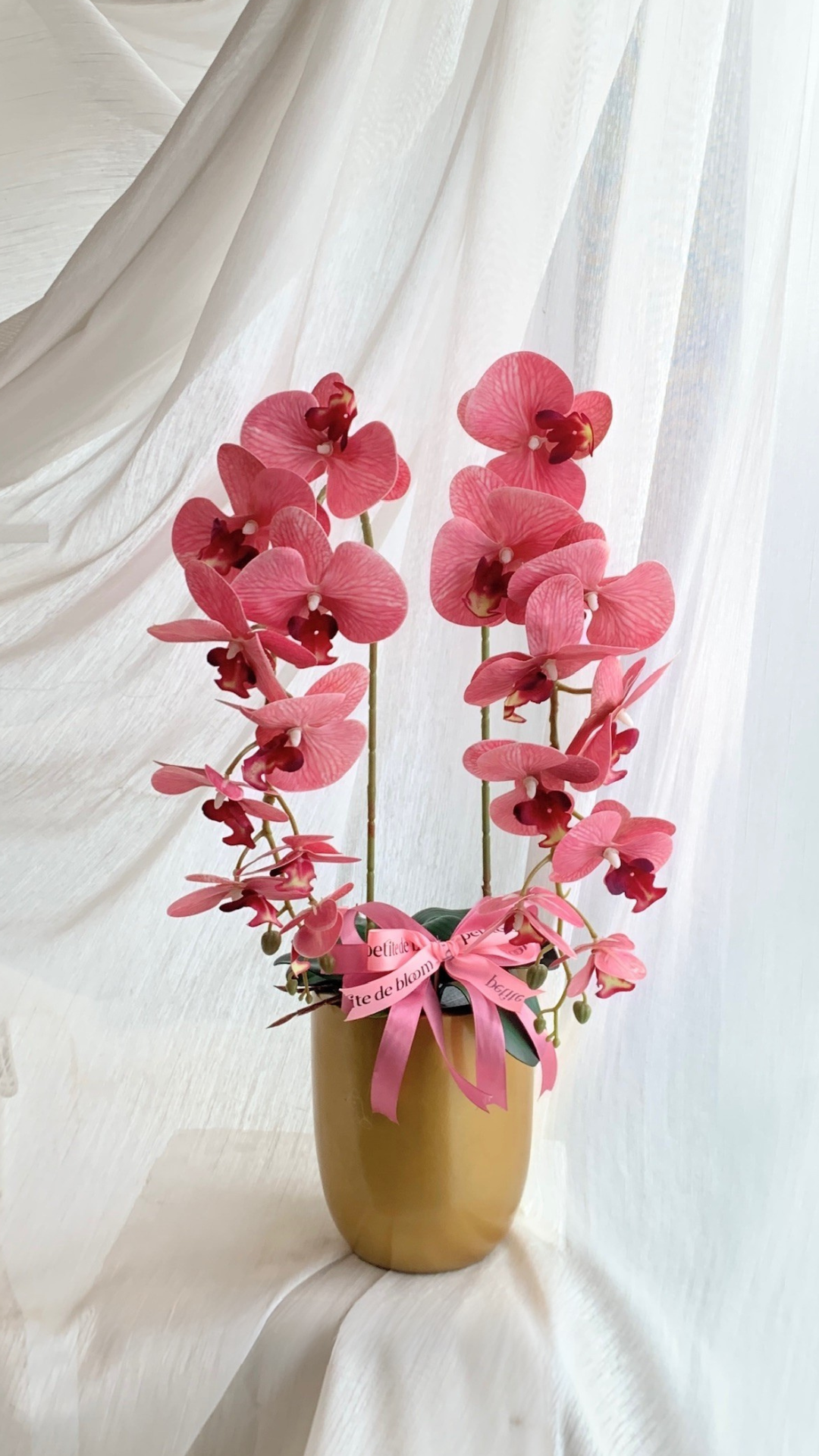 Orchid Pot - Image 9